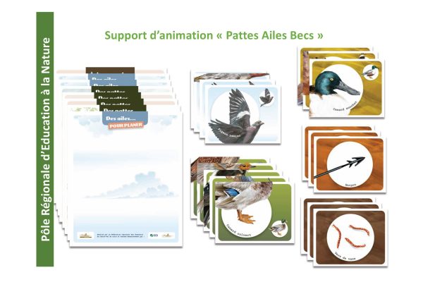 ECC-PRENvisuelsBD_Page_6